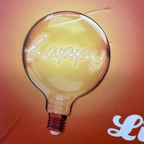 Wonderlit Jumbo LED Filament Bulb Happy Vintage Edison Orange 5 x 7" - Picture 3 of 7